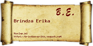 Brindza Erika névjegykártya